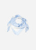SC-BENJA 1 Scarf Light blue